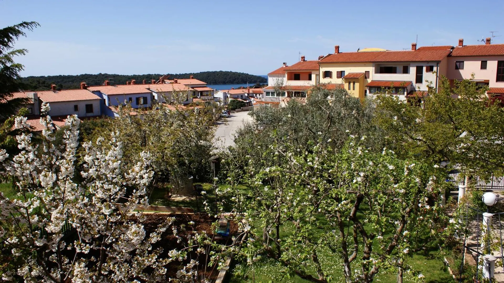 Apartments Cezar Vinkuran